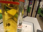 IMG-20200213-WA0007.jpg